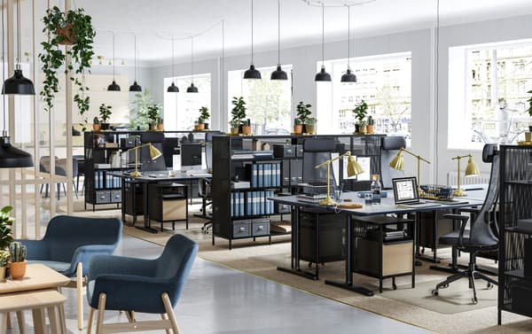 Een zakelijk kantoor met planten op de IKEA BEKANT zwarte opbergrekken en BEKANT zwarte zit-stabureaus.