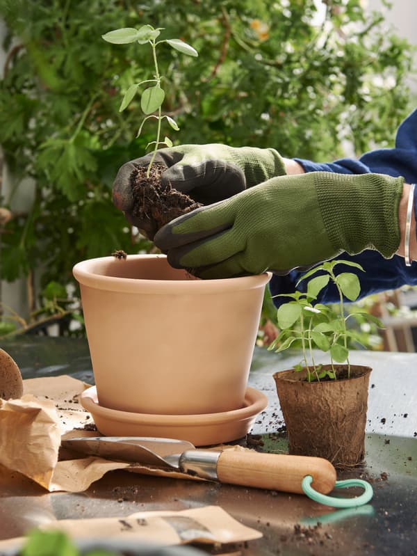 Egy asztalon álló terrakotta színű MUSKOTBLOMMA virágcserepet látunk, mellette pedig a LÄRKAR kertészkészlet lapátja fekszik.