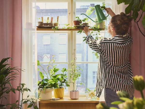 Egy fiatal nő zöld színű DOFTRIPS locsolókannával öntözi a szobanövényét, amely az ablak előtt található polc tetején kapott helyet.
