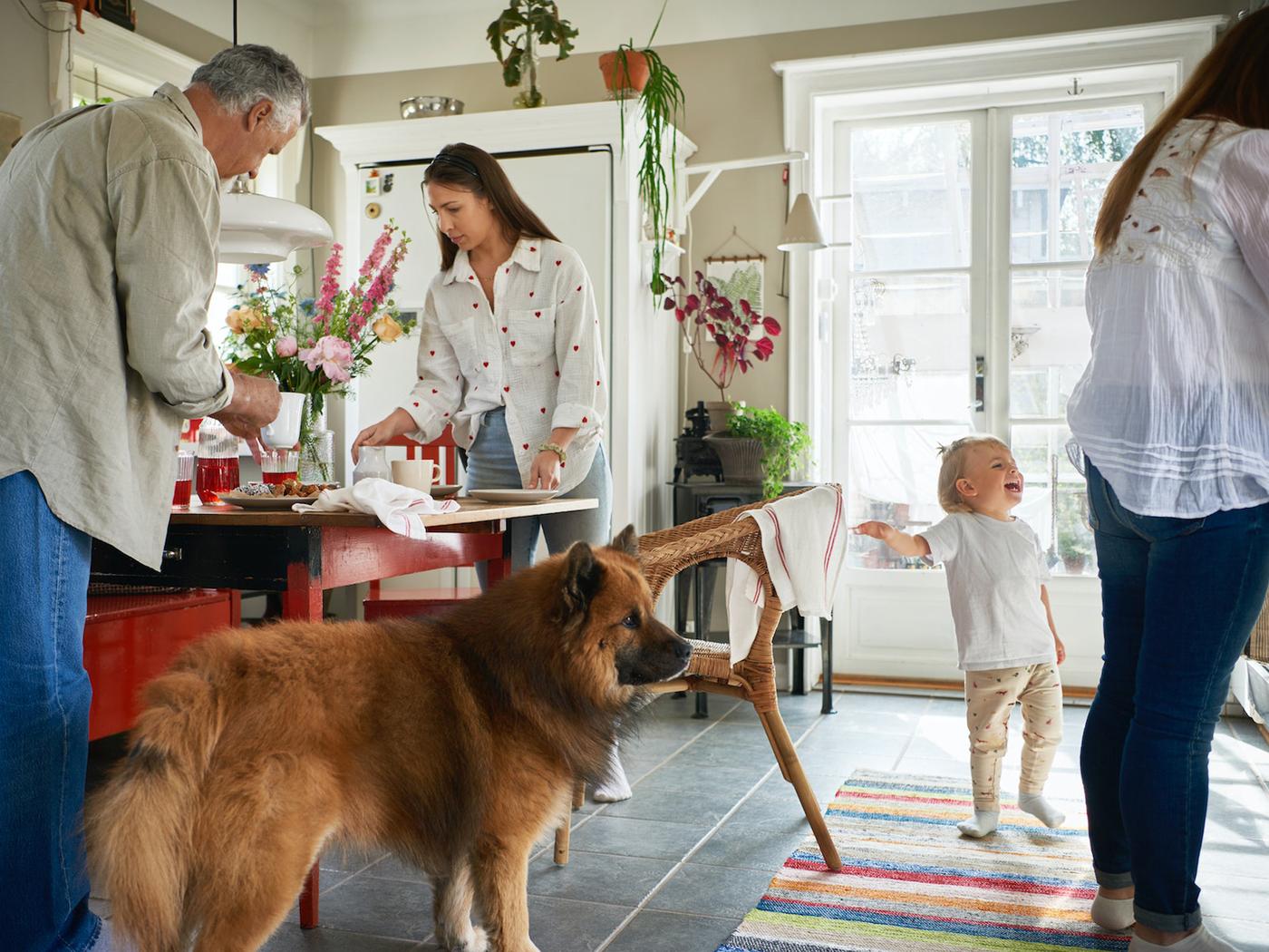 Egy négyfős családot látunk a konyhában, ételkészítés közben.