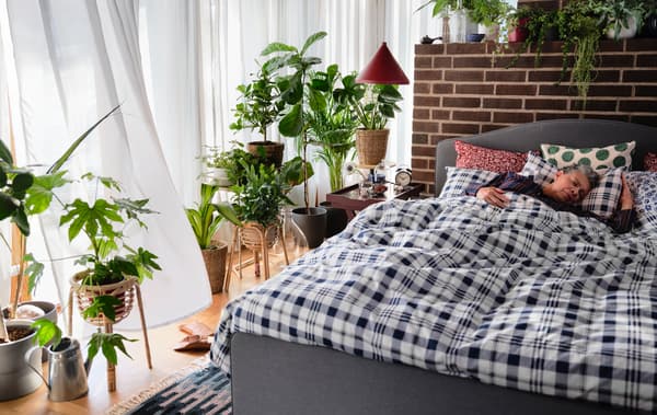 Egy nő kárpitozott HAUGA ágyban alszik, kockás paplanhuzattal takarózik és zöld növényekkel van körülvéve.