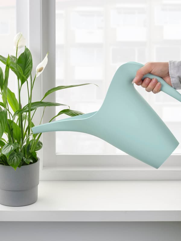 Egy világostürkiz IKEA PS 2002 locsolókanna szürke kaspóban lévő növényt locsol.