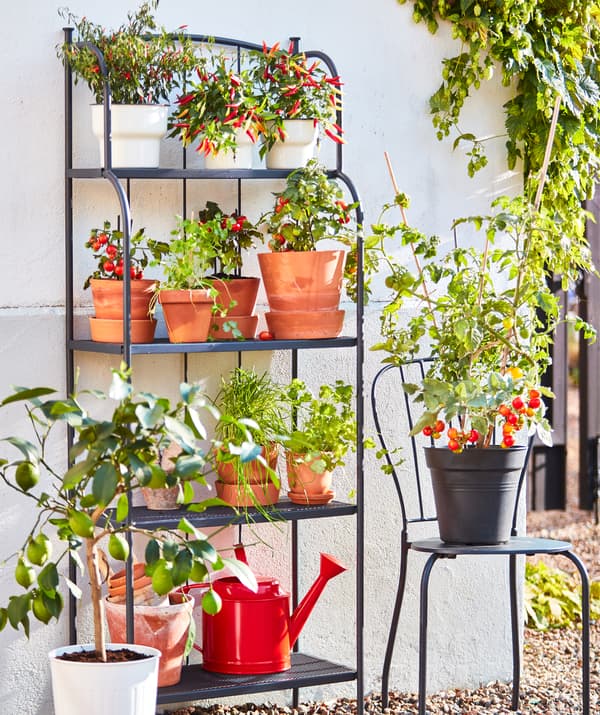 na er tiden inne for a plante ikea