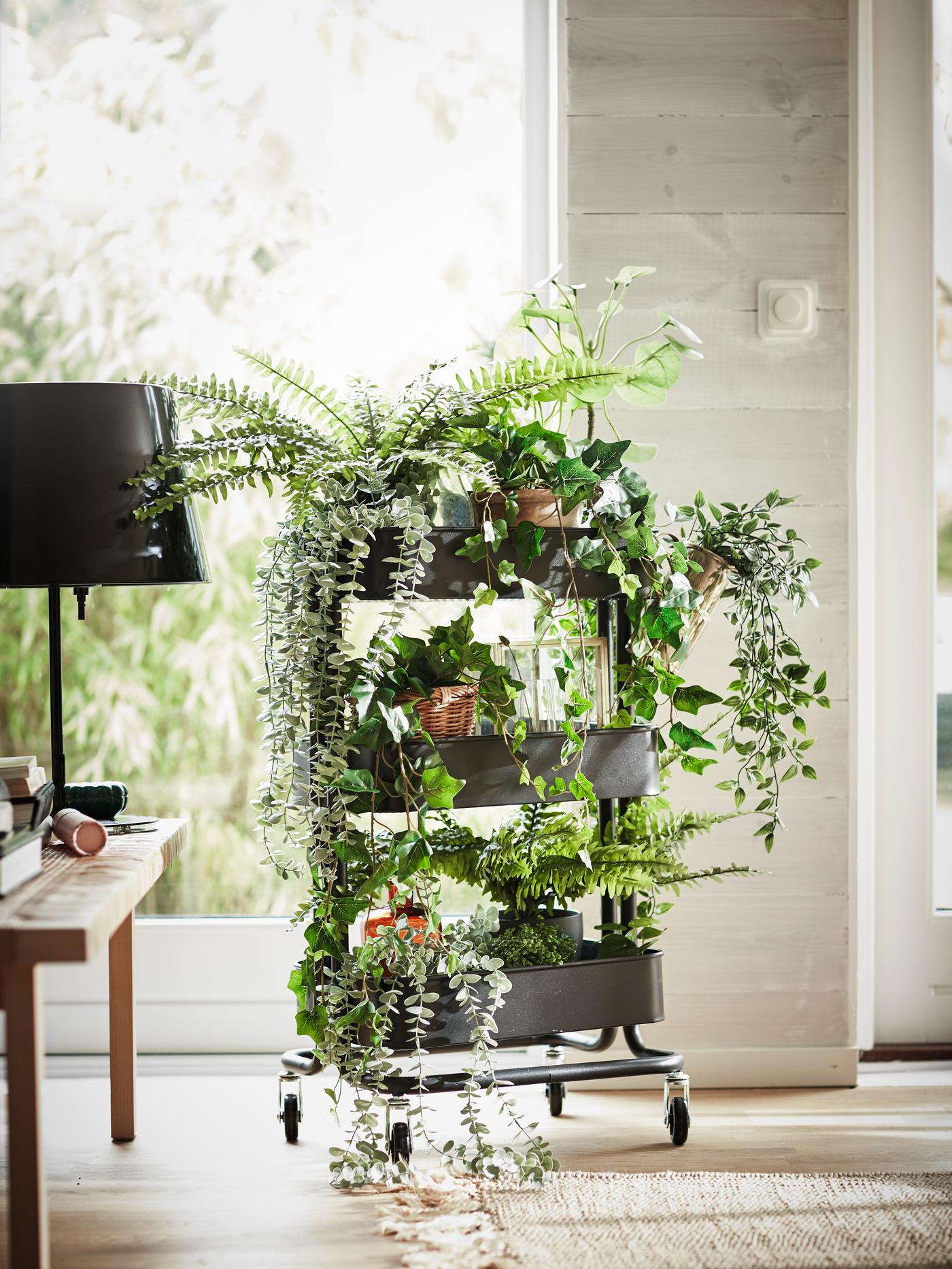 Ein grauer RÅSKOG mit vielen Pflanzen. Der Link führt zu Pflanzen Pflegetipps