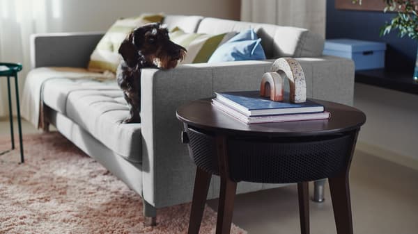 Ein graues Sofa mit einem schwarzen Hund und daneben steht der neue IKEA Luftreiniger.