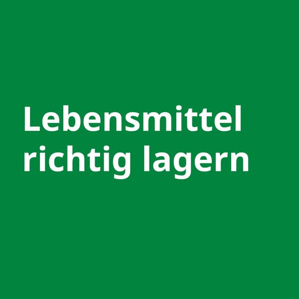 ein grünes Quadrat in dem steht: Lebensmittel richtig lagern