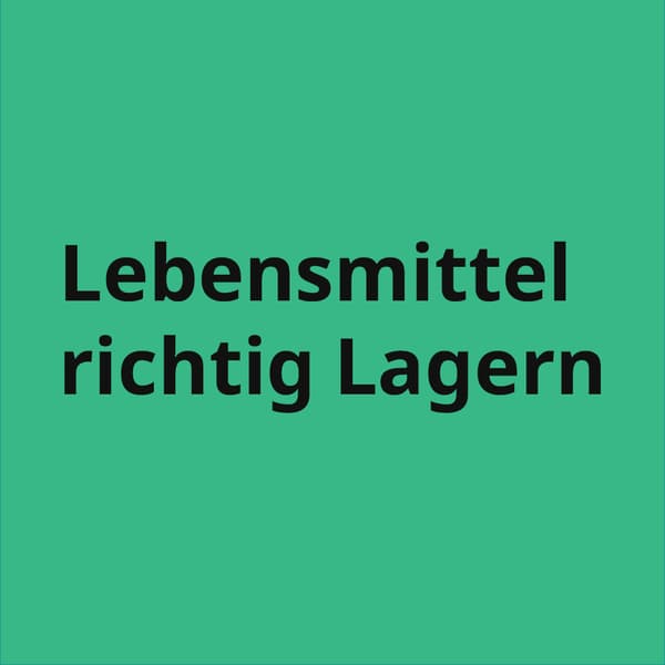 ein grünes Quadrat in dem steht: Lebensmittel richtig lagern