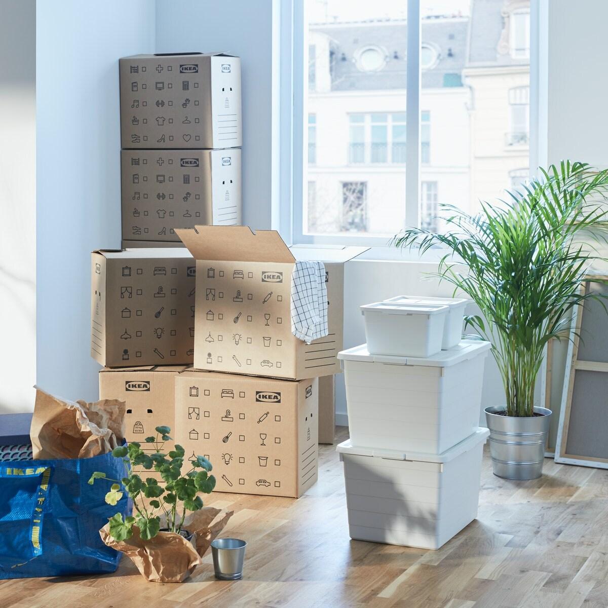 Ein Raum mit Fenster und vielen IKEA Umzugskartons.