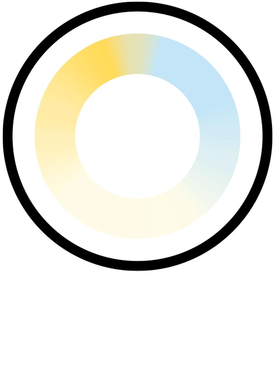 Ein runder Kreis mit schwarzer Kontur und einem Ring, der farblich von gelb über hellgelb zu hellblau verläuft, in der Mitte zur Visualisierung des weißen Lichtspektrums