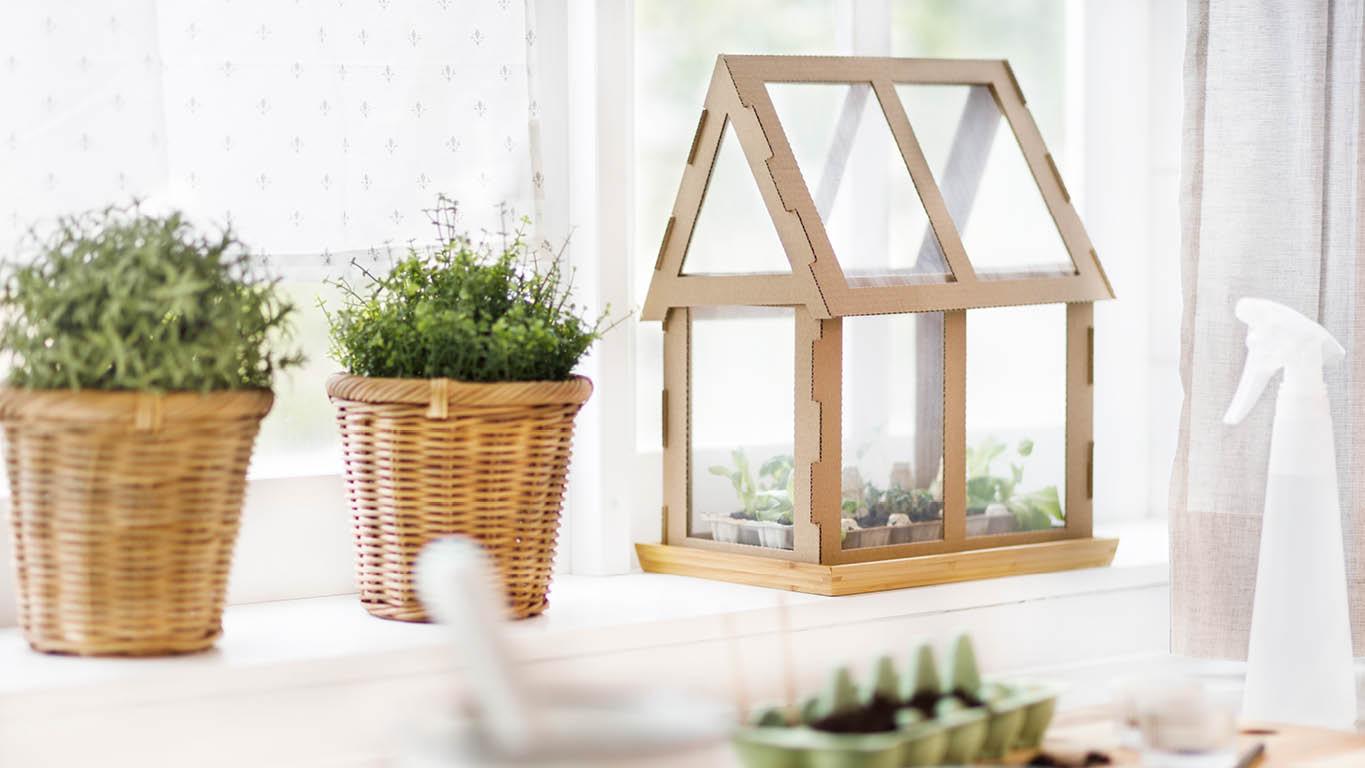 Ein Zuhause für deine Pflanzen: Ein Mini-Gewächshaus aus Pappe