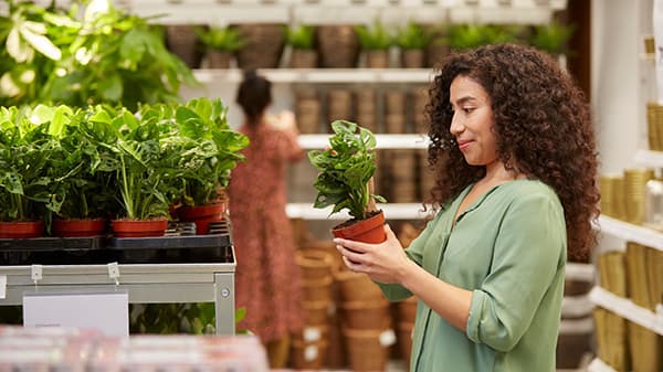 Eine Frau sieht sich eine Pflanze im IKEA Einrichtungshaus in der Selbstbedienungshalle an