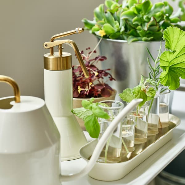 Eine Giesskanne in einem schlanken Design in Weiss und Goldfarben und Gartenzubehör stehen auf einem weissen Regal. In Gläsern sind kleine Stecklinge zu sehen. 