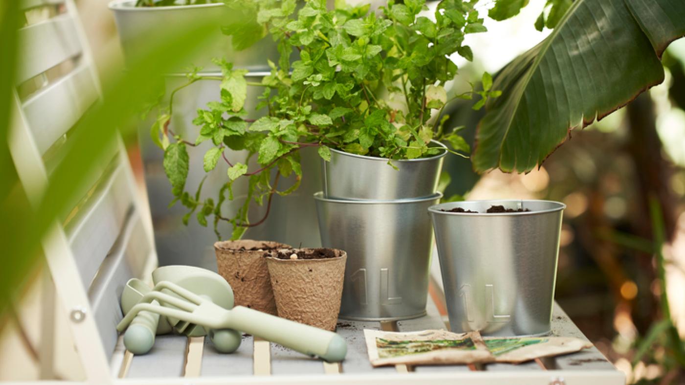 Nachhaltigkeit bei IKEA Karlsruhe