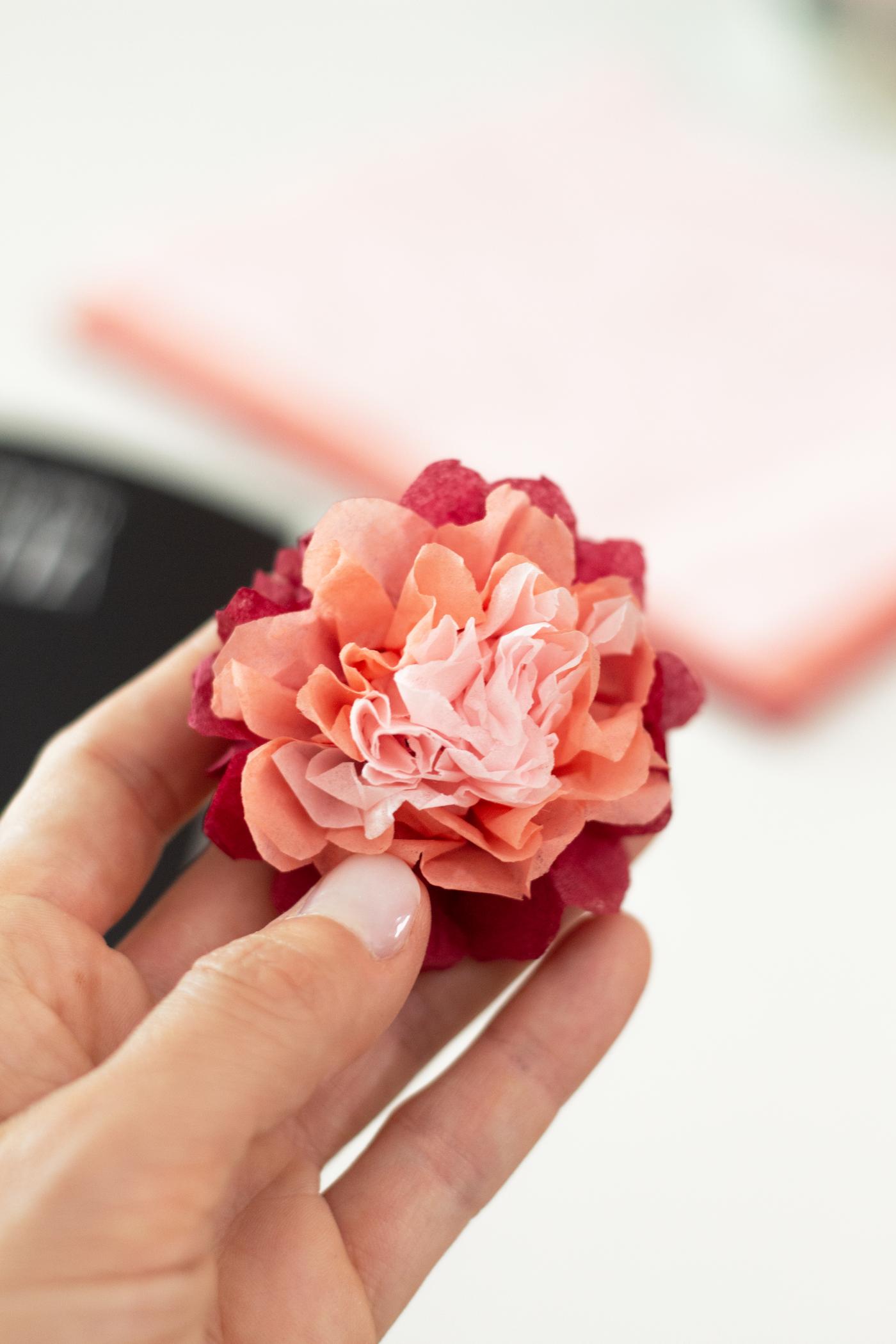 Eine Person hält eine Blüte in der Hand.