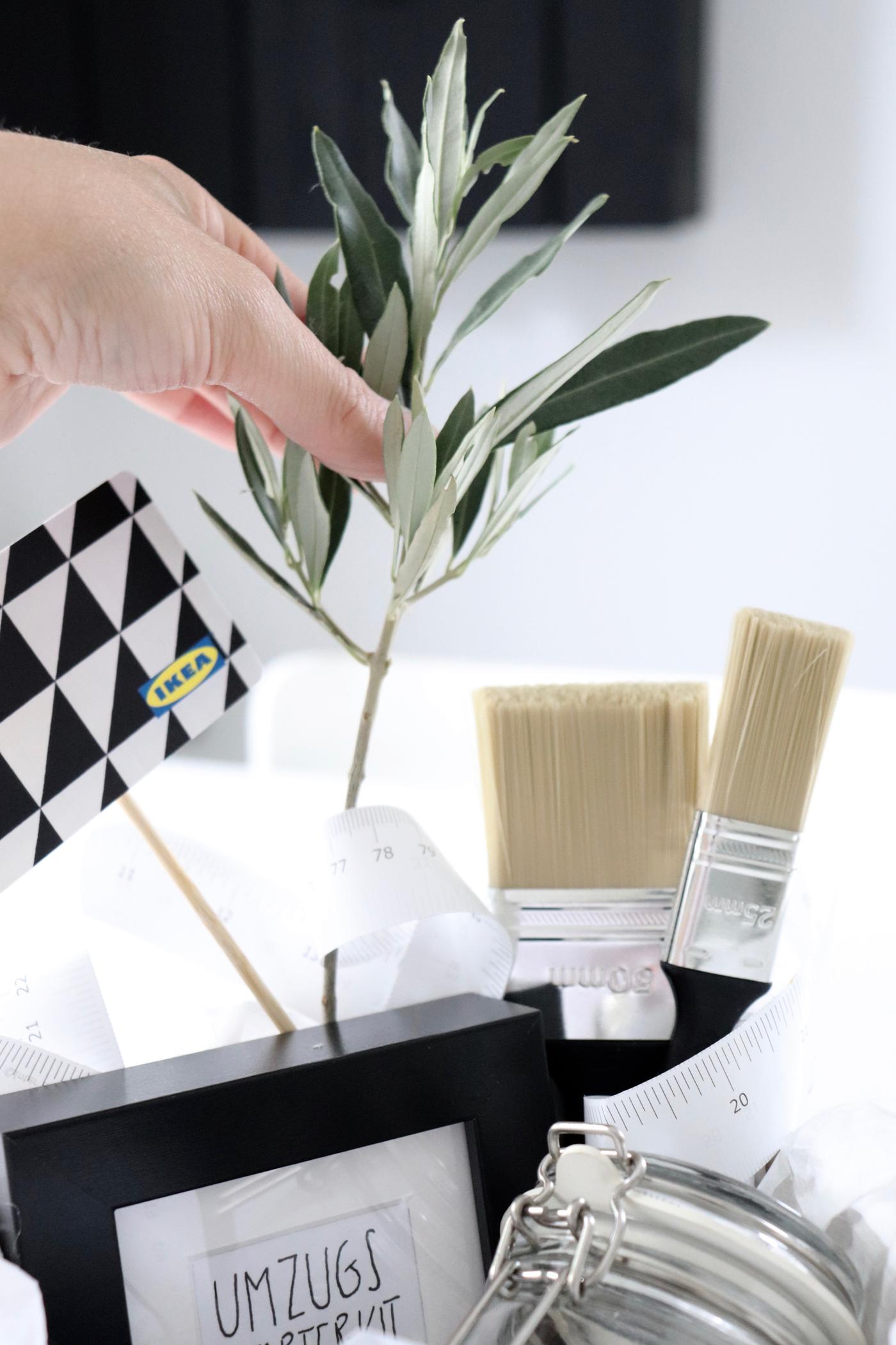 Eine Person steckt einen kleinen Pflanzenzweig in einen Rahmen neben einer IKEA Geschenkkarte.