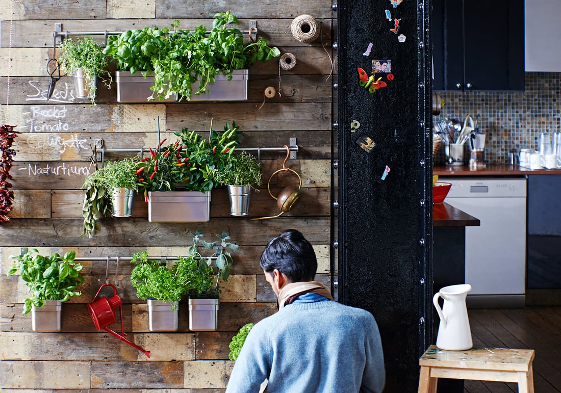 Kräutergarten in der Küche anlegen - IKEA Deutschland