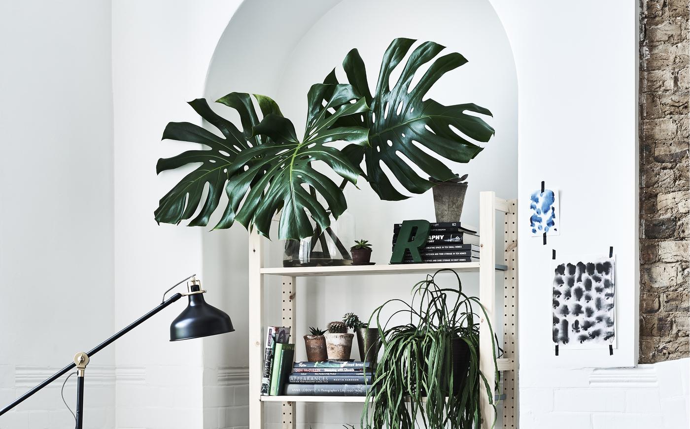 Indoor Garten Ideen Sommer Das Ganze Jahr Ikea Ikea Schweiz