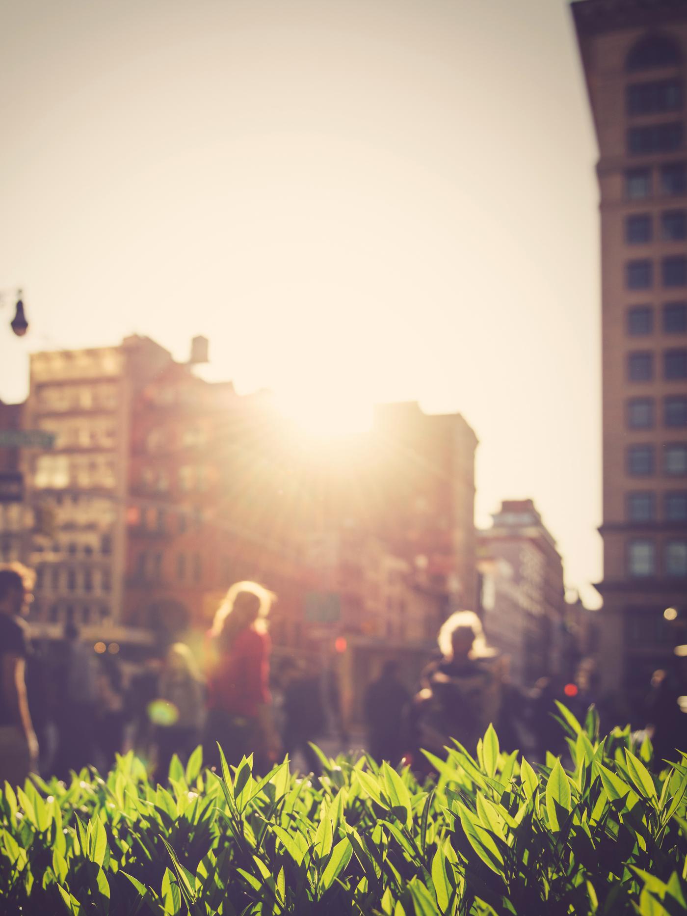 Conoce nuestra estrategia de sustentabildiad