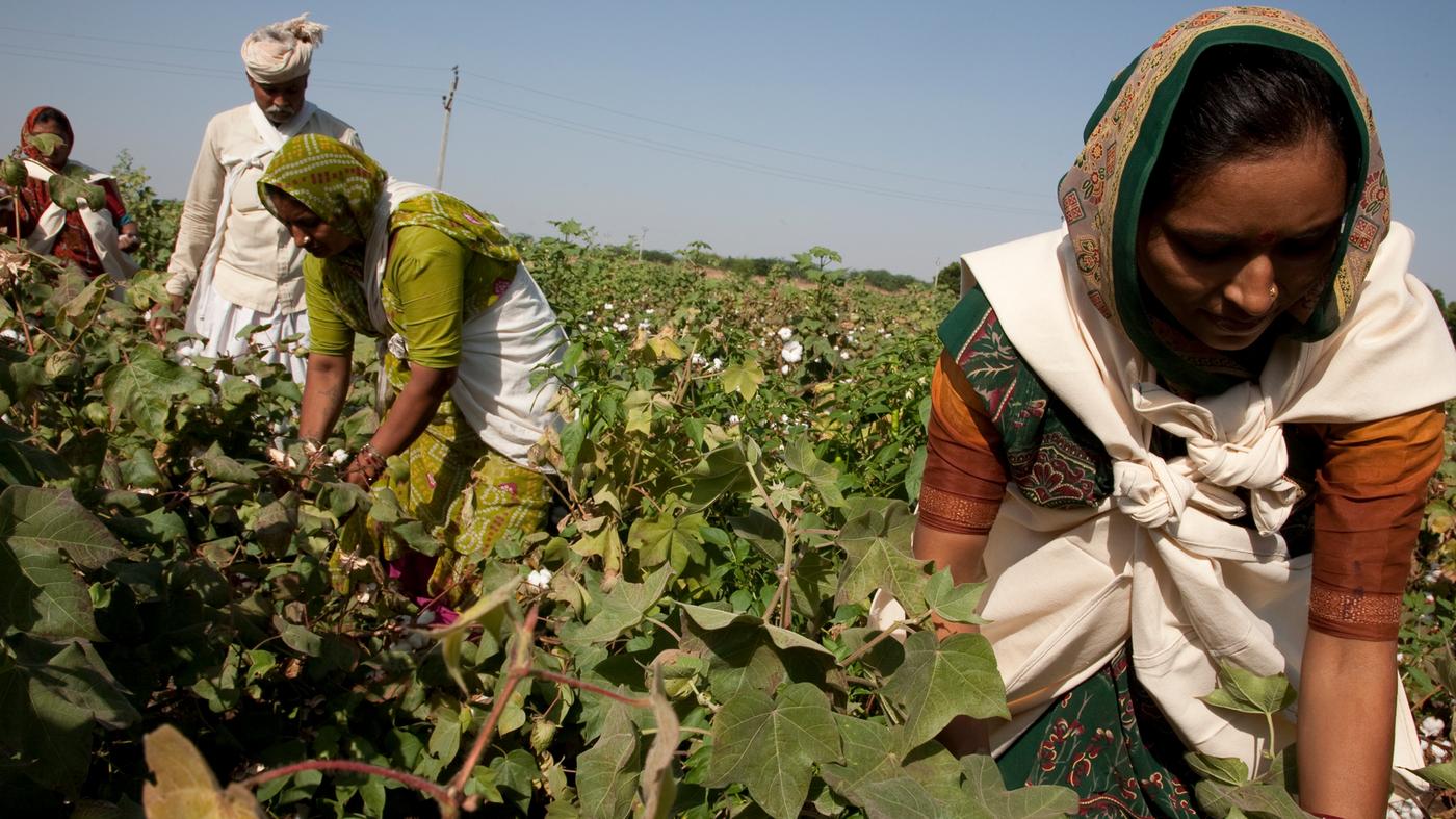 Ketahui selanjutnya di bettercotton.org