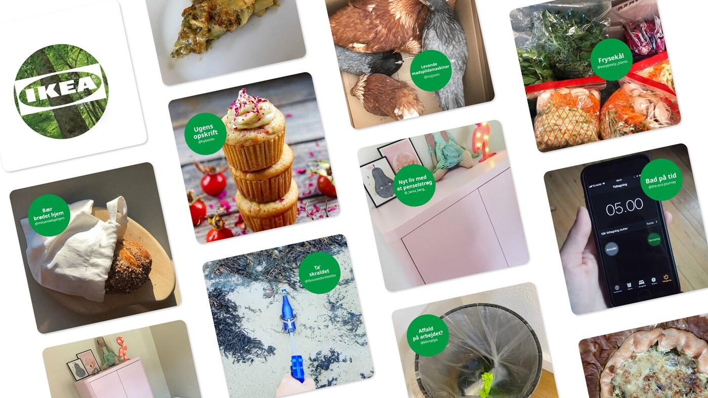En collage af instagram opslag fra Grøn Rytme.