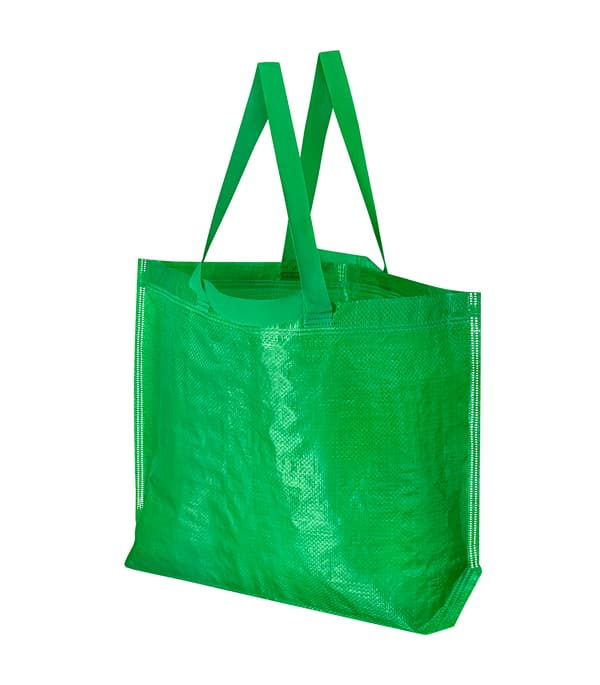 En grön IKEA FRAKTA påse.