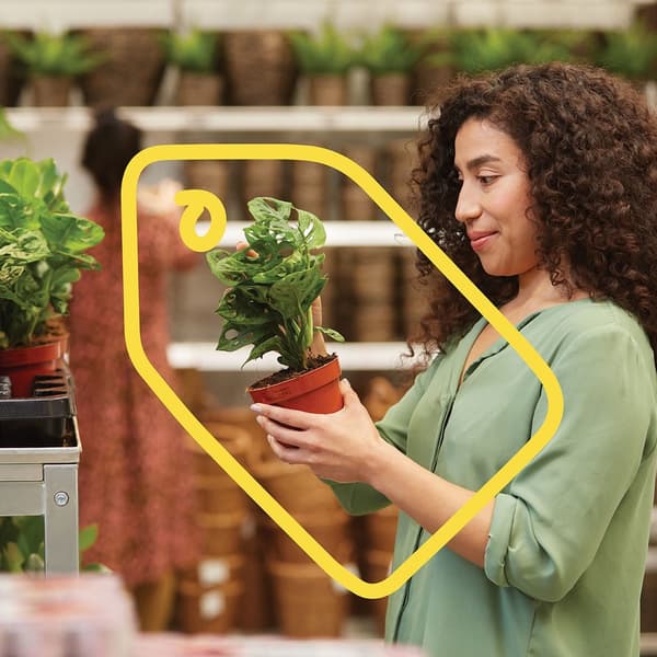En IKEA kunde kigger på en plante i et IKEA varehus.