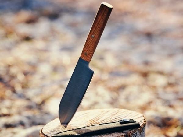 En kniv med trähandtag står lodrätt i en trädstubbe.