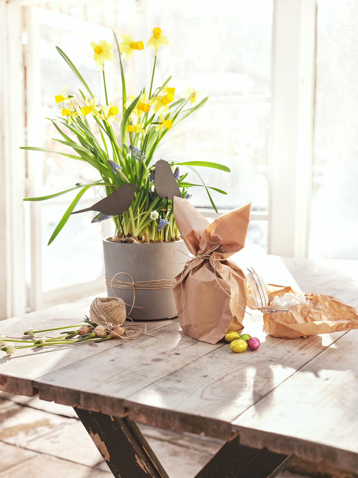En kruka på ett bord tillsammans med ett paket.
