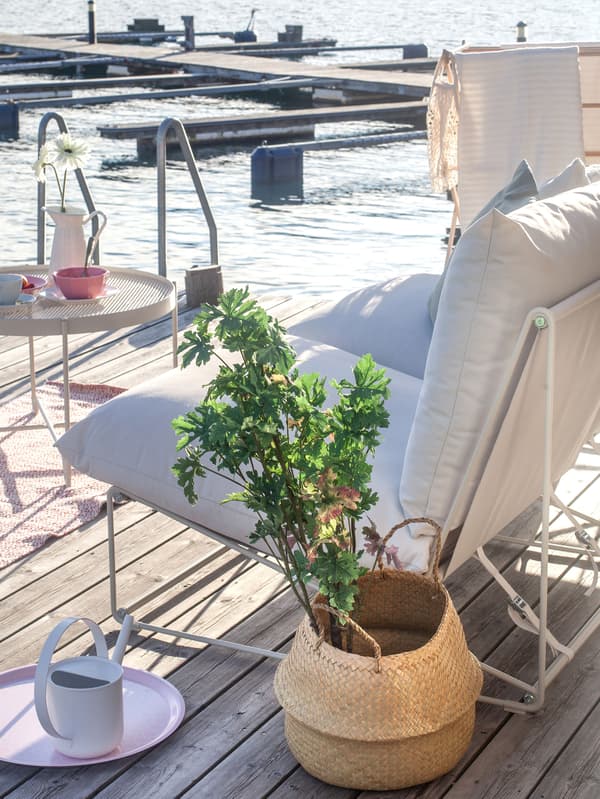 En kurv med en plante i på brygga.