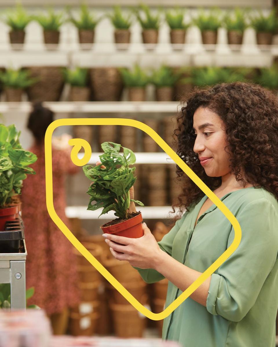 En kvinde står i planteafdelingen og kigger på en plante. På billedet er der også det gule prisskilt for IKEA Family 