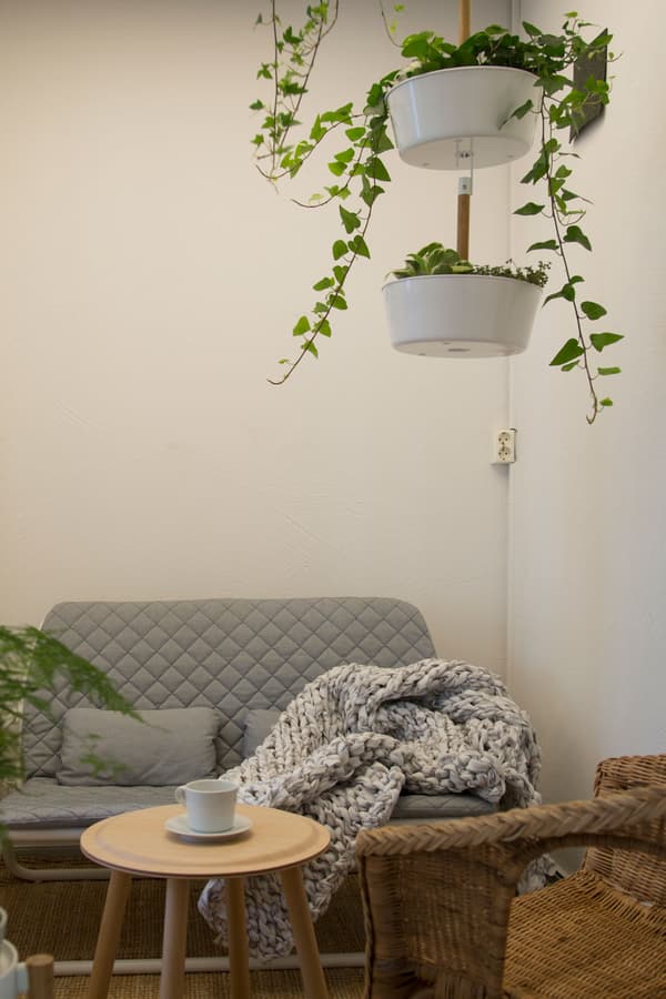 En liten grå soffa med plats för avkloppling, i taket hänger gröna växter. 