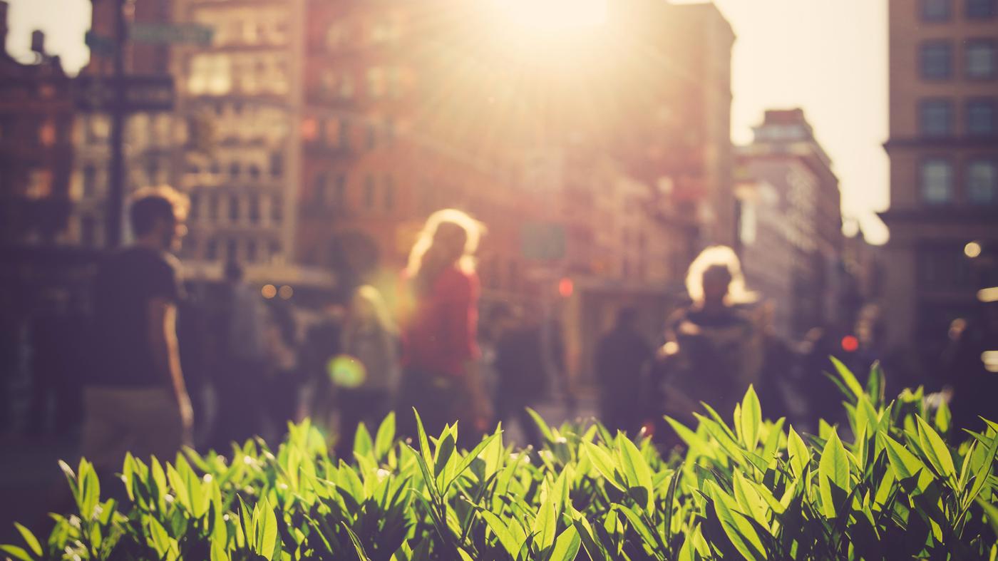 Sådan når vi målet