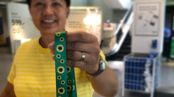 En person holder en Solsikkesnor i hånden og rækker den imod kameraet.