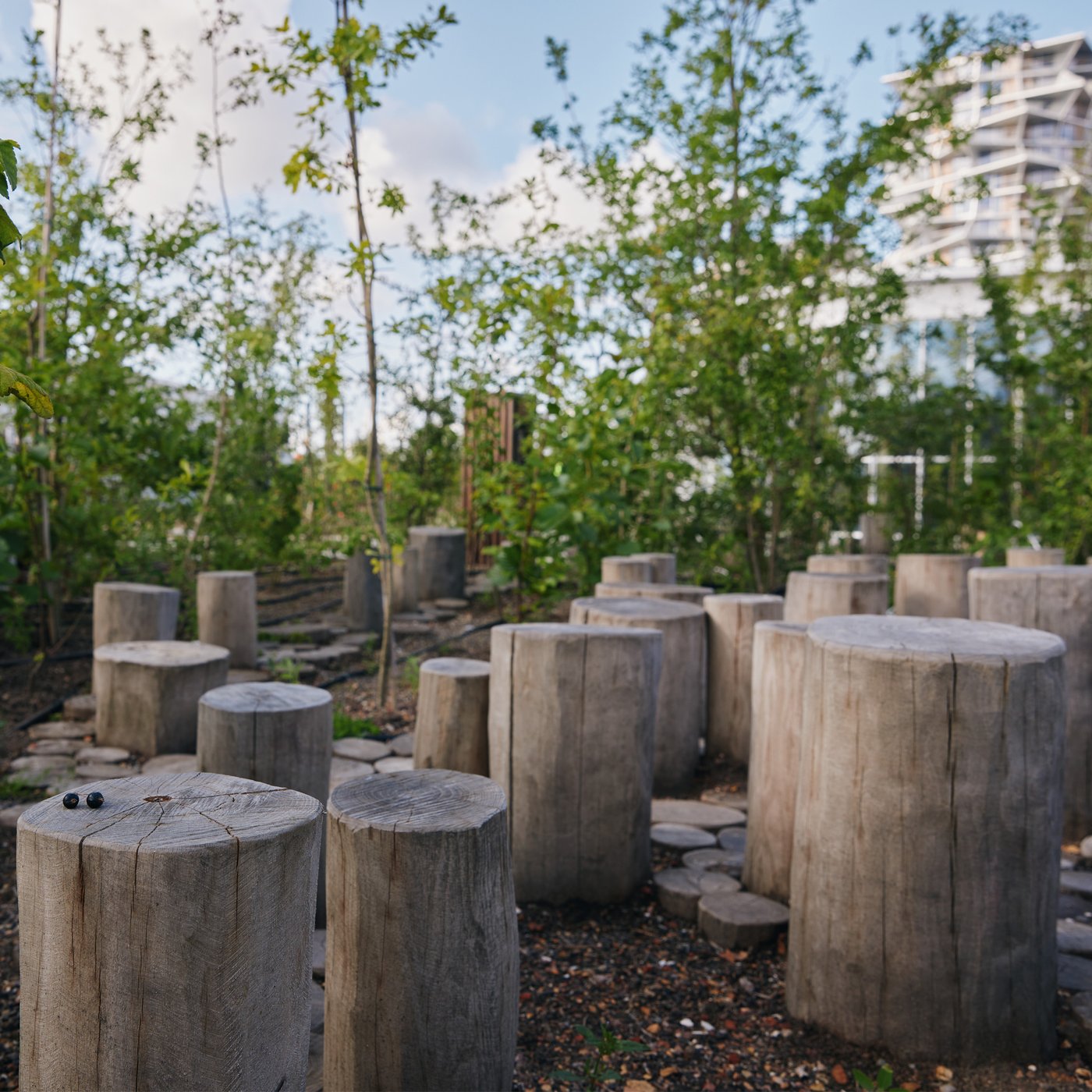 En række træstubbe står i en bund af flis i IKEA Københavns taghave.