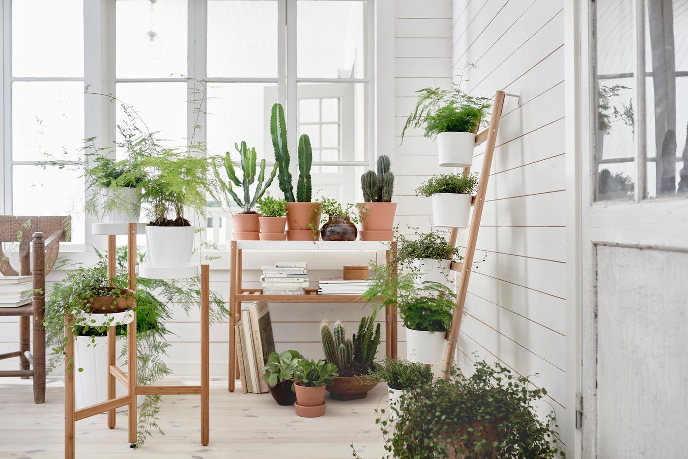 En SATSUMAS piedestal i træfarver står i et lyst rum fyldt med grønne planter.