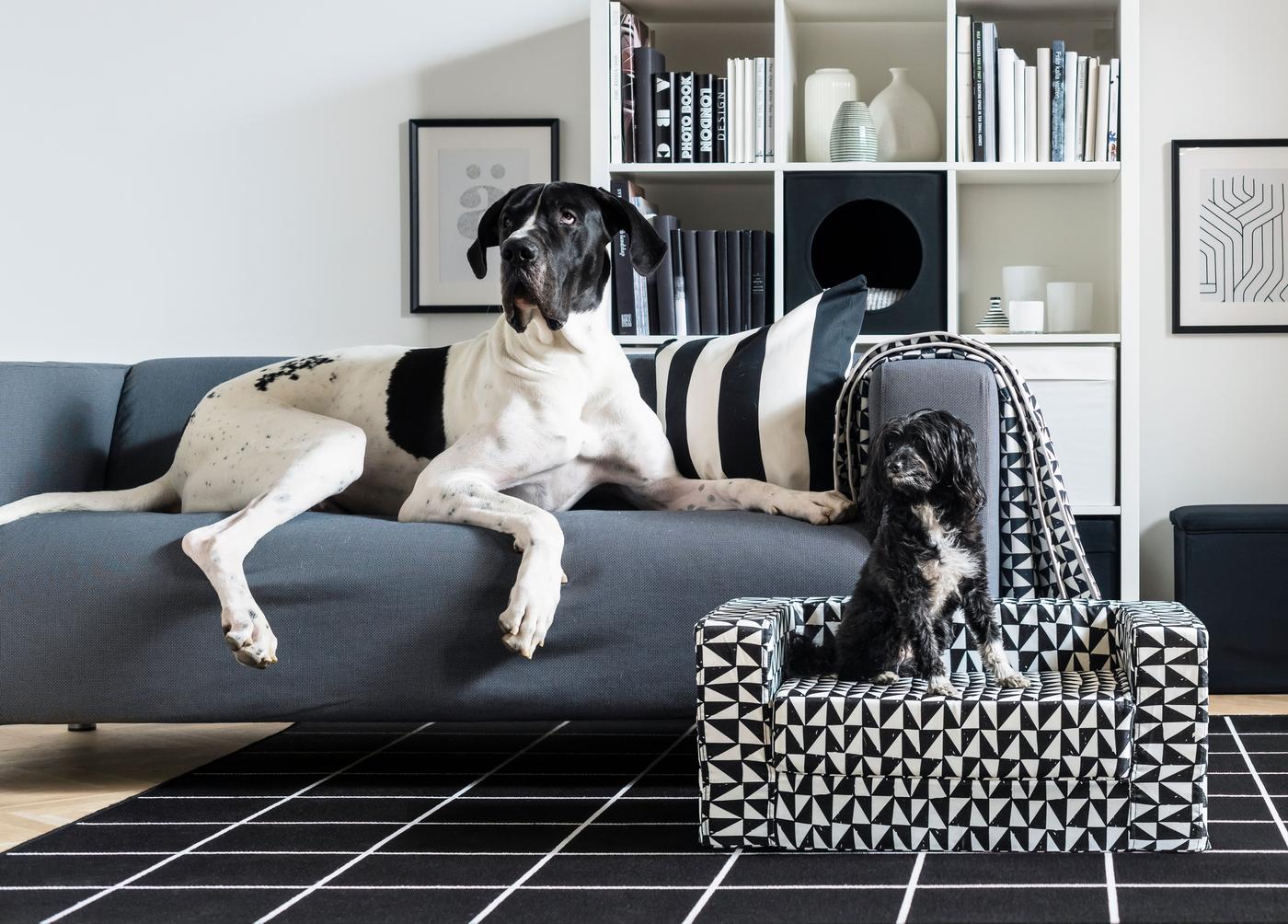 LURVIG serie för katter och hundar. IKEA