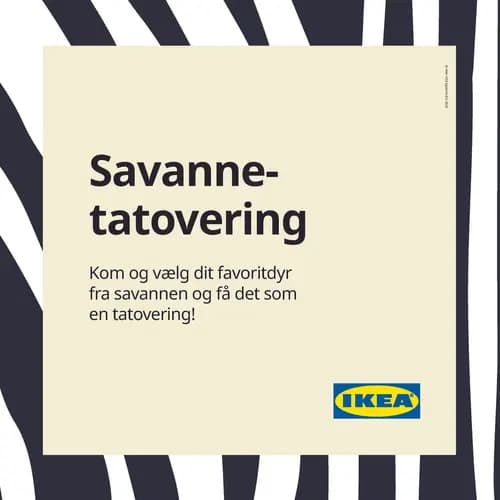 En zebrastribet ramme med et tekstfelt, der beskriver aktiviteten.