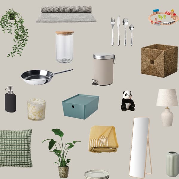Ensemble d'accessoires de la maison (plantes, miroirs, tapis, boîtes de rangements, vaisselle, jouets, ...)