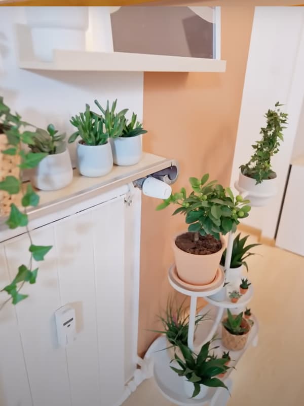 Entrée d'un appartement avec des plantes.