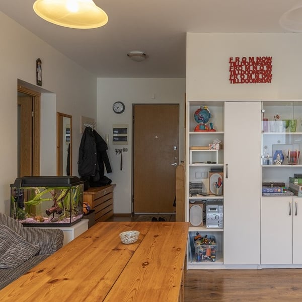 Entryway with wooden door, fish tank, coat rack, and storage cabinet.