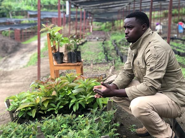 Eric Niyonsaba Tree Nursery Director siedzi przy roślinach doniczkowych