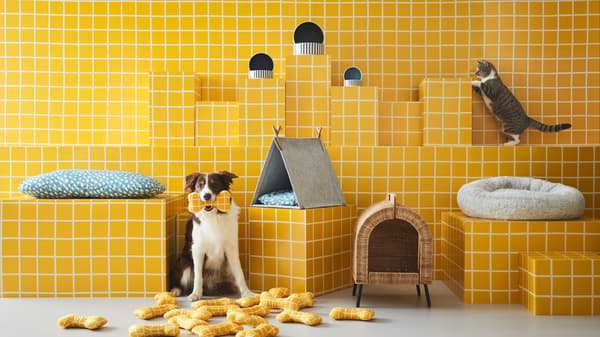 Erste Haustierkollektion von IKEA, ein Hund der einen Kauknochen im Maul hat. Neben ihm die verschiedenen Hunde-/Katzenkörbchen. Oben rechts eine Katze.