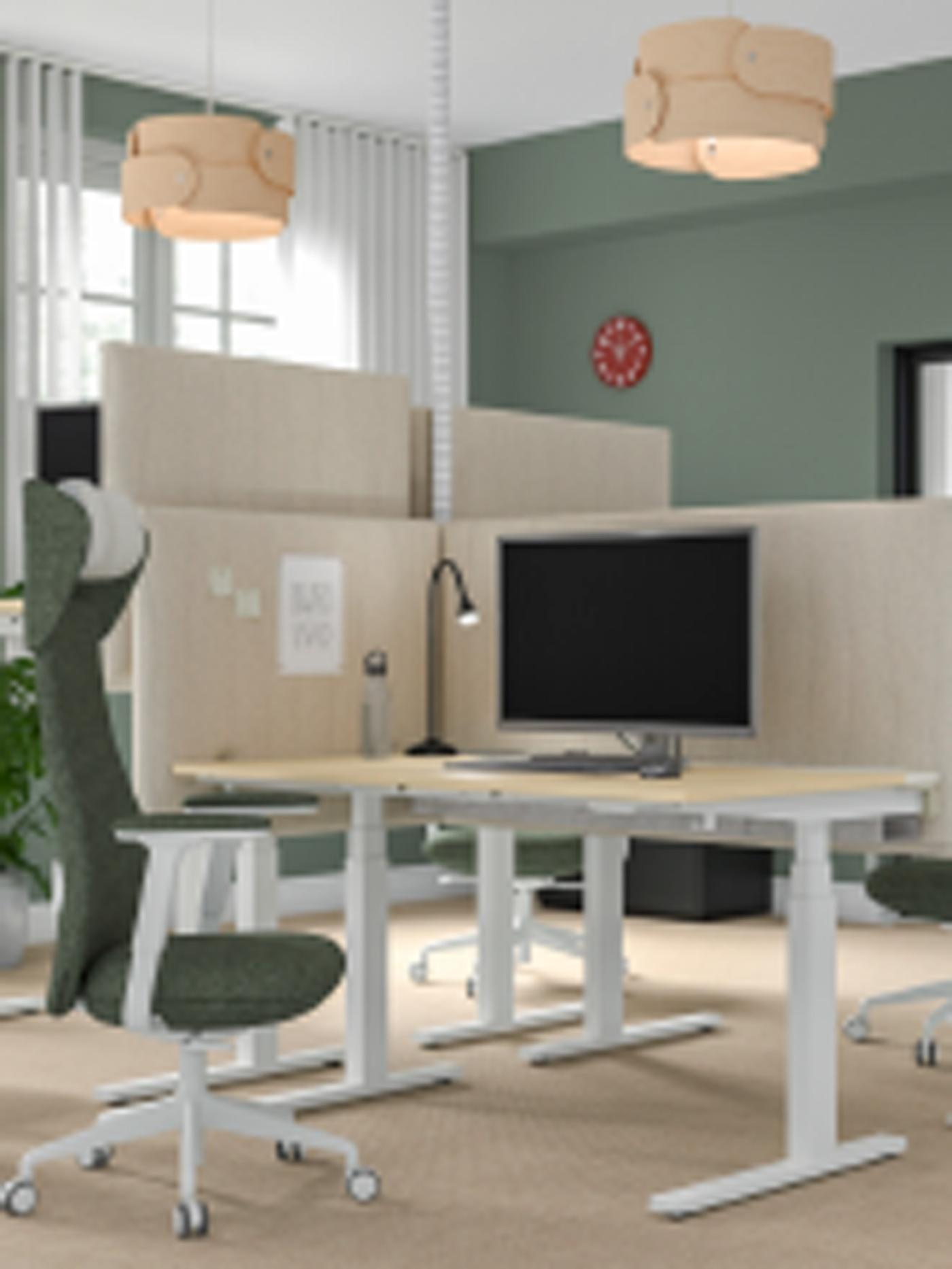 Es ist ein modernes Büro mit grünen Wänden und einem Arbeitsplatz mit stehenden akustischen Abschirmungen und einer Abschirmung an einem MITTZON Schreibtisch zu sehen.