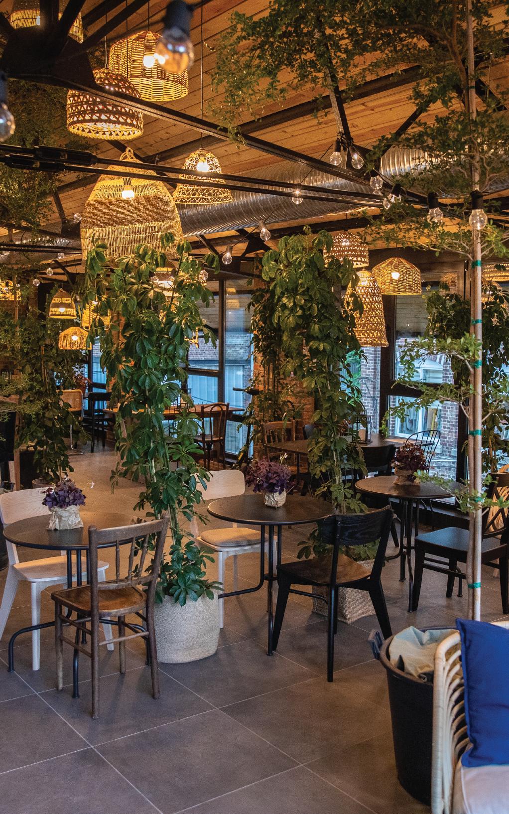 Espace restauration avec plusieurs suspensions, tables et chaises en bois et plusieurs plantes vertes.