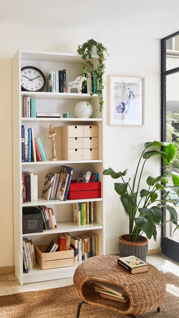 Estantería con libros y un banco para sentarse a leer