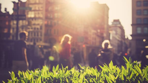Et bybillede ved solnedgang med sollys, der filtrerer mellem høje bygninger og kaster et varmt skær. I forgrunden er levende grønne planter i fokus, mens silhuetter af fodgængere er sløret i baggrunden, hvilket skaber en dynamisk og livlig byscene - en sand afspejling af urban værdier.