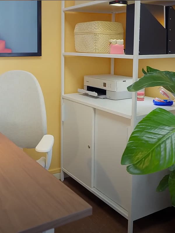 Etagère avec plante et chaise.