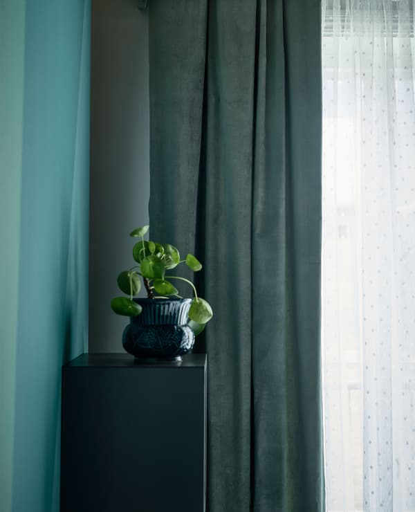 Étagère avec plante posée dessus, à côté de la fenêtre.