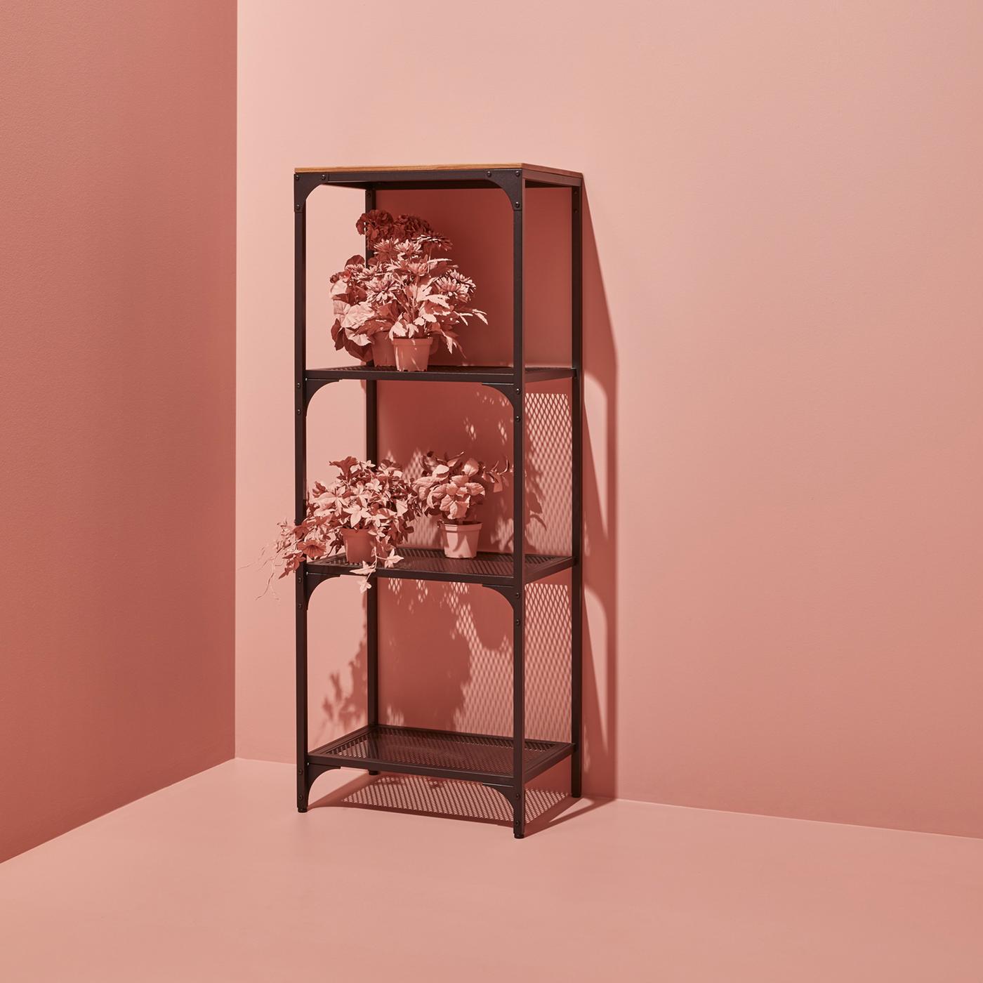 Etagère en métal avec des plantes roses
