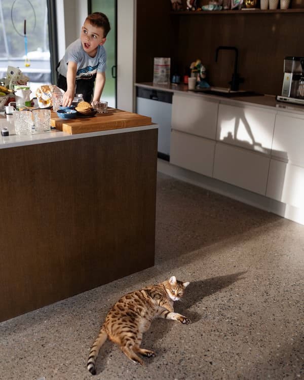 Ett barn sträcker sig över en bänk efter kex. På golvet ligger en katt. 
